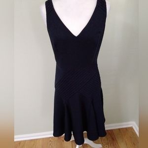 Ann Taylor Fit & Flare Dress